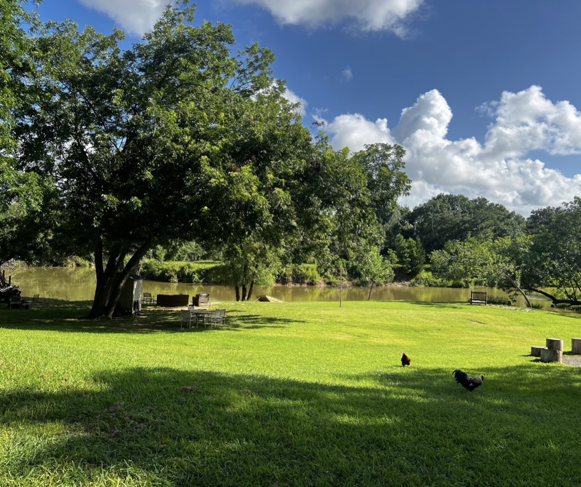 The green lawn stretching toward Chocolate Bayou